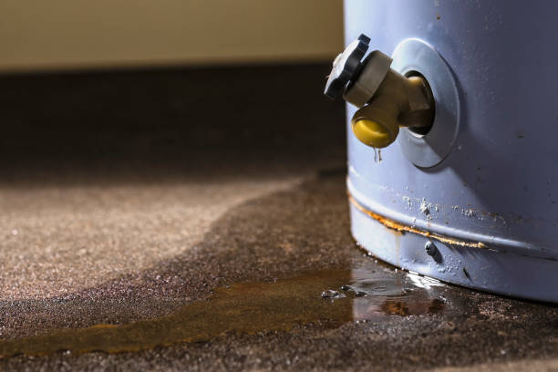 Best Water damage contractors near me  in Cochran, GA