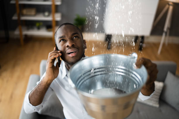 Best Professional water damage repair  in Cochran, GA