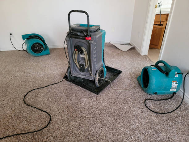 Best Basement water damage restoration  in Cochran, GA