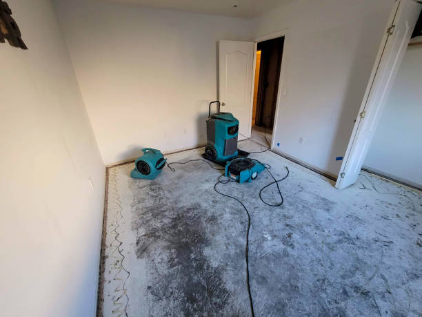 Best Water damage restoration insurance claims  in Cochran, GA