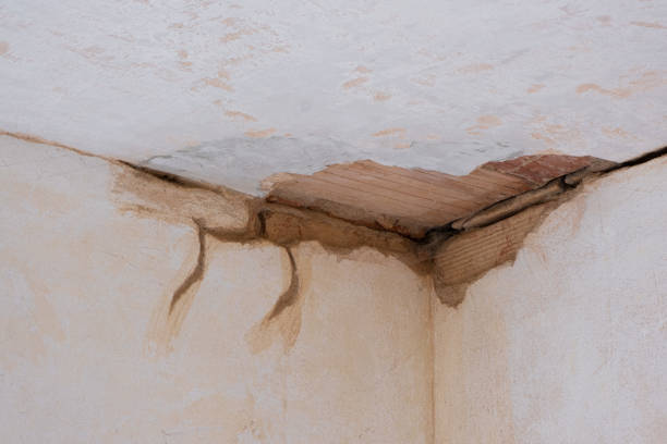 Best Water damage restoration near me  in Cochran, GA