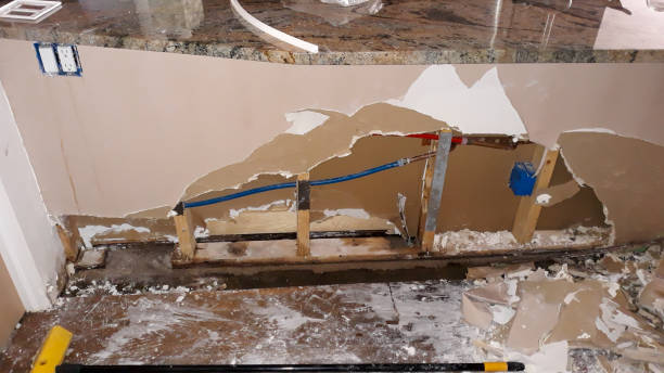 Best Carpet water damage restoration  in Cochran, GA