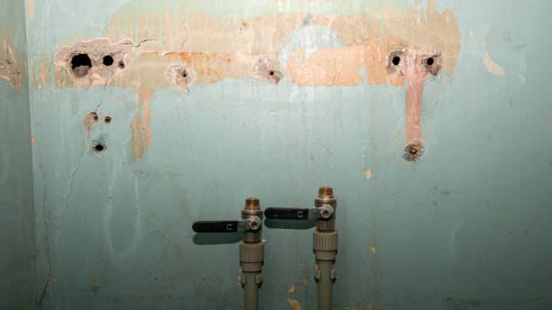 Best 24/7 water damage repair  in Cochran, GA