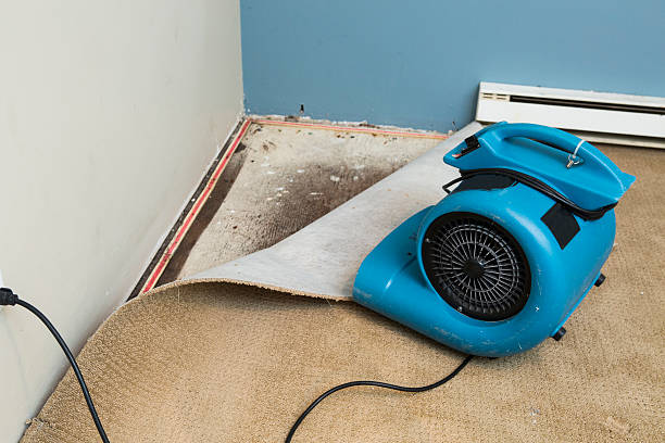 Best Water damage mitigation services  in Cochran, GA